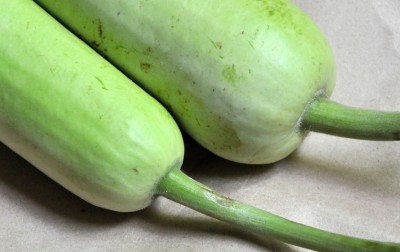 seedagro Fresh VNR Botlle Gourd (lokki) Vegetable Hybrid Seed(50 per packet)