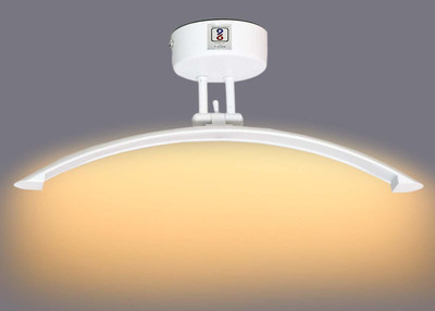 CARSTEN Picture Light Wall Lamp With Bulb