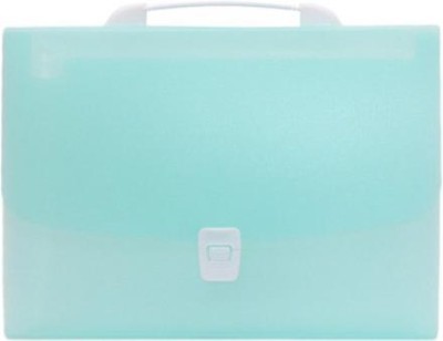 MOMISY Plastic File folder(Set Of 1, Blue)