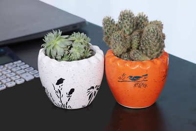 Newai Plant Container Set(Pack of 2, Ceramic)