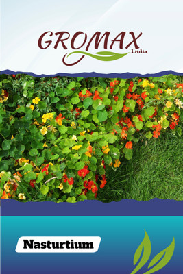 Gromax India Nasrturtium Seed(40 per packet)