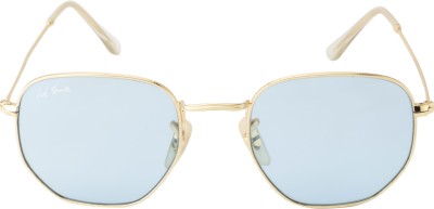 Ted Smith Round Sunglasses(For Men & Women, Blue)