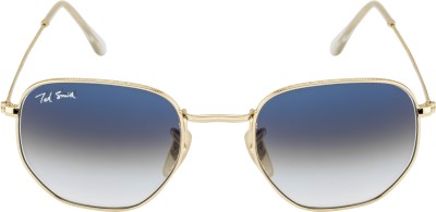 Ted Smith Round Sunglasses(For Men & Women, Blue)