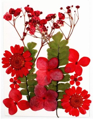 sahabz Red Wild Flower Artificial Flower(5 inch, Pack of 12, Flower Bunch)