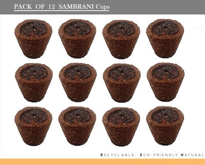 SPIRITe Natural & Organic Cow Dung Sambrani Cups With Holder & Camphor Dhoop(Pack of 12)