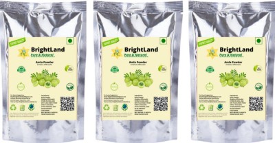 Brightland Combo of Hair Care Amla Powder Pack of 3(50gm each )(150 g)