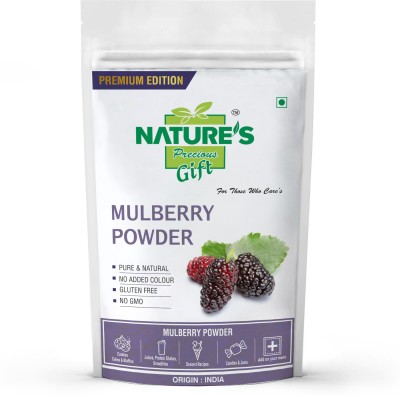 Nature's Precious Gift Mulberry Powder - 100 gm Mulberries(100 g)