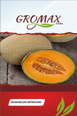 Gromax India Muskmelon Netround Seed(40 per packet)