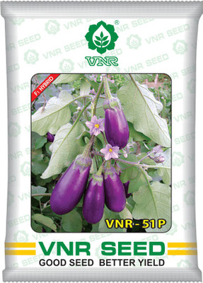 VNR vnr 51-P hybrid brinjal Seed(10 g)
