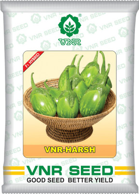 KANAYA vnr HARSH hybrid brinjal Seed(40 per packet)