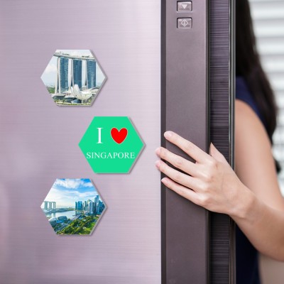 Regalocasila I Love Singapore Art Science Museum Acrylic Printed Fridge Magnet Pack of 3(Multicolor)