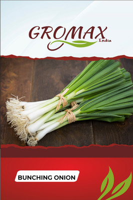 Gromax India Bunching Onion Seed(40 per packet)