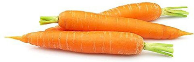 Aywal Carrot Gajar Seed For Planting For Home And Gardening Seed(50 per packet)