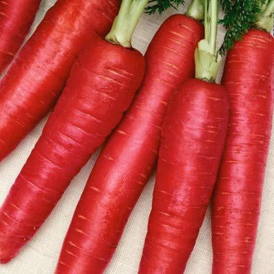 Aywal Carrot Hybrid Seed(2000 per packet)