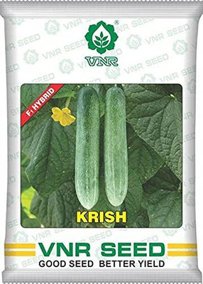 ranigarden hybrid cucumber seeds Seed(5 g)