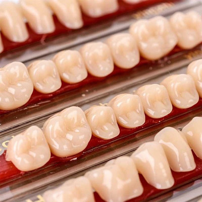 pyrax Dental Teeth Type of 23/425 A3 Health & Wealth Double Layer Resin Dental Elevator