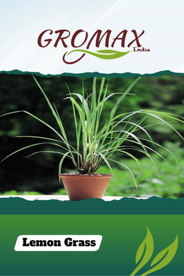Gromax India Lemon Grass Seed(40 per packet)