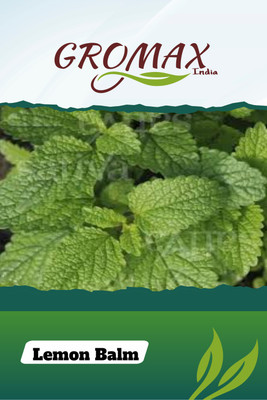 Gromax India Lemon Balm Seed(40 per packet)