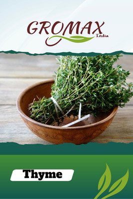 Gromax India Thyme Seed(40 per packet)