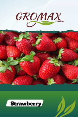 Gromax India Strawberry Seed(40 per packet)