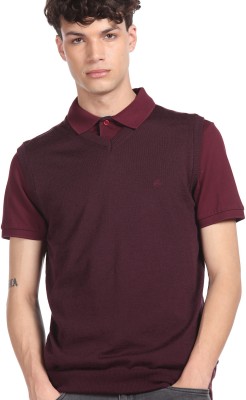 ARROW Solid V Neck Casual Men Purple Sweater