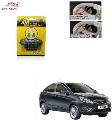 AuTO ADDiCT Iron Tyre Valve Cap for Car(Cylinder)