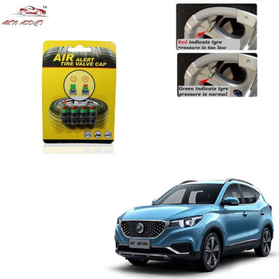 AuTO ADDiCT Iron Tyre Valve Cap for Car(Cylinder)