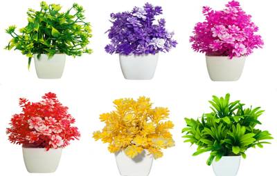 Litoria Set Of 6 Attractive Look And Best Design Home Office Decoration Or Gift Bonsai Wild Artificial Plant  with Pot