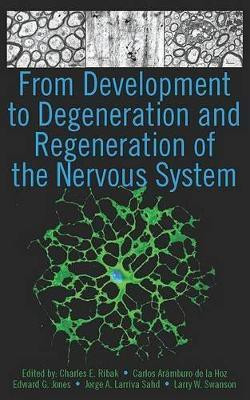 From Development to Degeneration and Regeneration of the Nervous System(English, Hardcover, unknown)