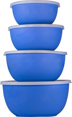 BOWLMAN Steel, Plastic Fridge Container  - 4900 ml(Pack of 4, Blue)
