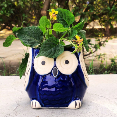 Jimkia Ceramic Plant Container | Blue Owl Desk Planter Pot | For Home & Garden Decor Plant Container Set(Ceramic)