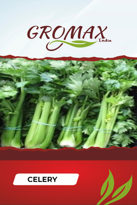 Gromax India CELERY Seed(40 per packet)