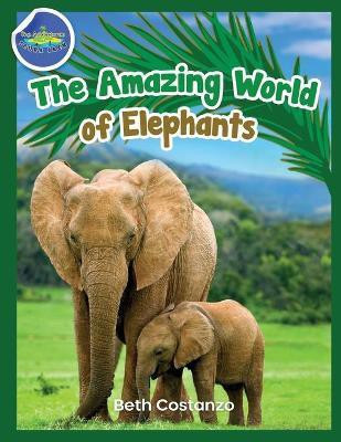 Elephants Activity Workbook for Kids ages 4-8!(English, Paperback, Costanzo Beth)