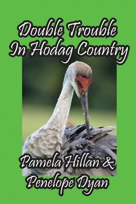 Double Trouble In Hodag Country(English, Paperback, Hillan Pamela)