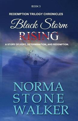 Black Storm Rising(English, Paperback, Stone-Walker)