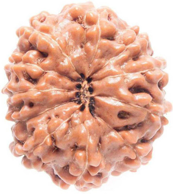 A & S VENTURES A&S Ventures Natural 11 Mukhi Rudraksha / 11 Face Rudraksha Lab Certified Wood Wood Pendant
