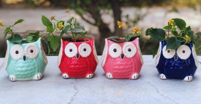 Jimkia Ceramic Plant Container, Combo Pack Of Owl Set, Small Planter Pot Plant Container Set(Pack of 4, Ceramic)