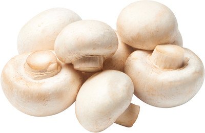 rmd Mushroom Herb Seed(80 per packet)