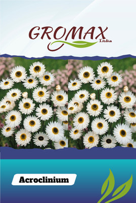 Gromax India Acroclinium Seed(40 per packet)