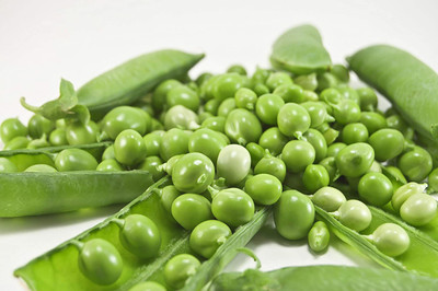 VibeX XLL-1 - Early Frosty Pea - (100 Seeds) Seed(100 per packet)