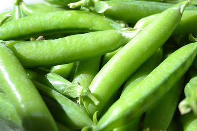 VibeX PUAS-26 - Sugar Ann Snap Pea - (100 Seeds) Seed(100 per packet)
