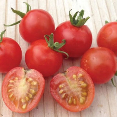 sm shop Arka Rakshak tomato seeds - 100 seeds per packet. Seed(100 per packet)