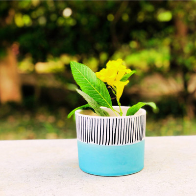 Jimkia Ceramic Planter Pot Round Shape For Home & Garden Decor (Plant Not Included) Plant Container Set(Ceramic)