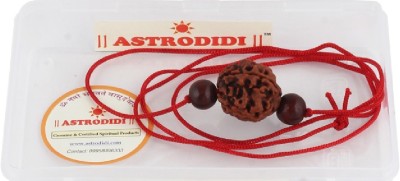 Astrodidi 4 Mukhi Rudraksha / Four Face Rudraksha With Red Chandan Beads Wood Pendant