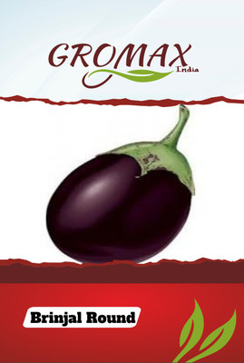 Gromax India Brinjal Round Seed(40 per packet)