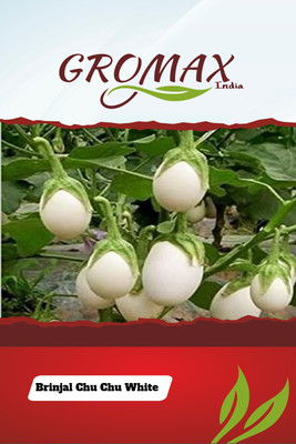 Gromax India Gr-Brinjal Chu-Chu White Seed(40 per packet)