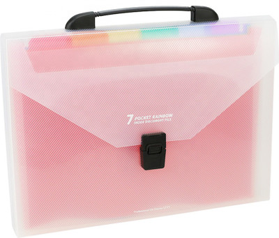 Mezon Plastic File Folder(Set Of 1, Multicolor)