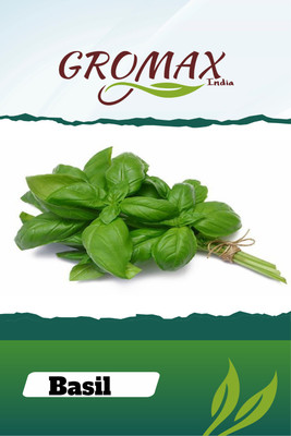 Gromax India Basil Seed(40 per packet)
