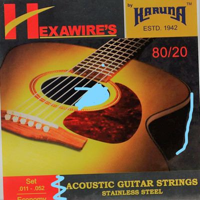 KARUNA Acoustic ECP Guitar String(6 Strings)