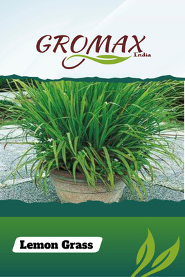 Gromax India Lemon Grass Seed(40 per packet)